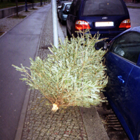 Der Wald grid image 7