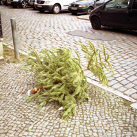 Der Wald grid image 12