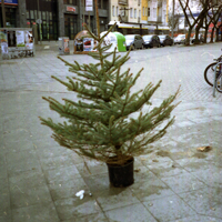 Der Wald grid image 13