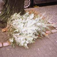 Der Wald grid image 4