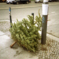 Der Wald grid image 11