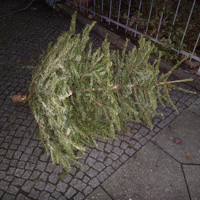 Der Wald grid image 3