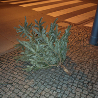Der Wald grid image 4