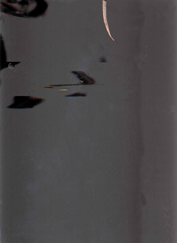 Die Kapelle der Dämmerung, scan 1