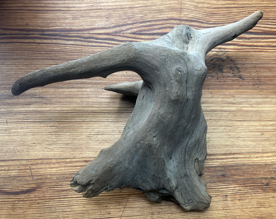 Found object resembling a dancer, pareidolia