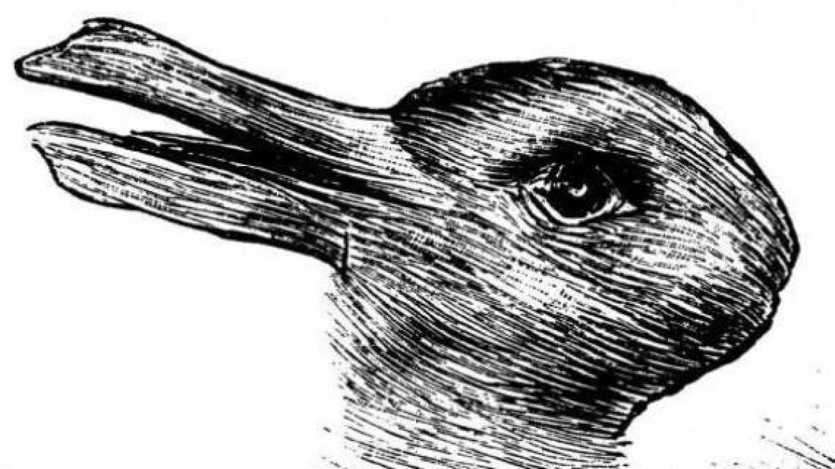 Dibujo del pato-conejo