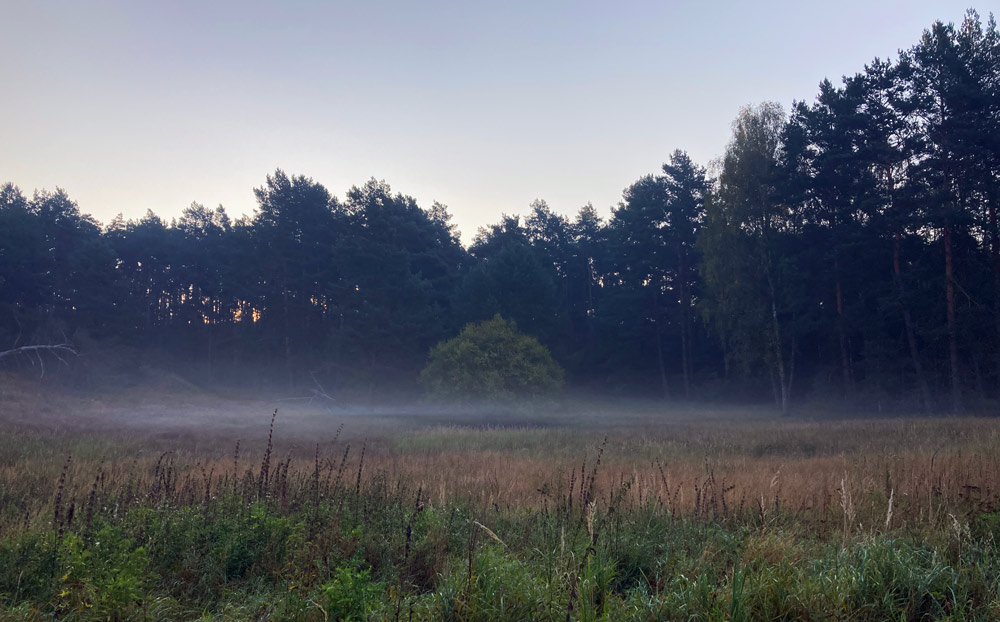 Sereno, threshold landscape