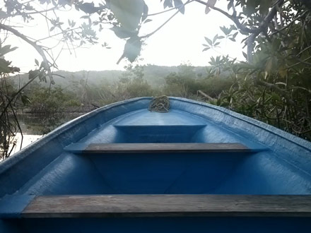 SE FUERON LOS PAJAROS, composition by Carlos Sandoval, 2017