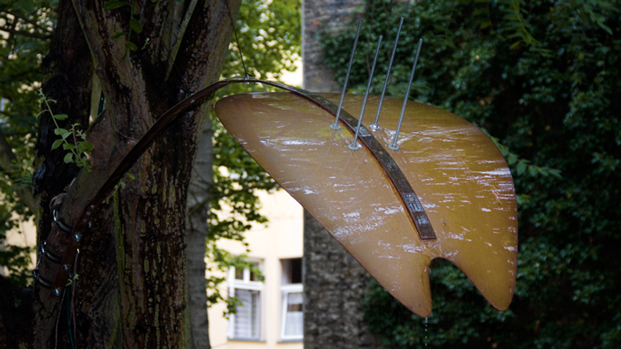 Trees with Sensors